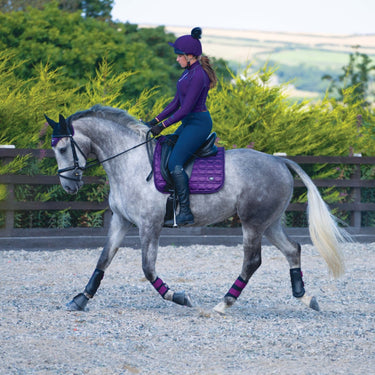 Buy Woof Wear Damson Club Brushing Boot| Online for Equine