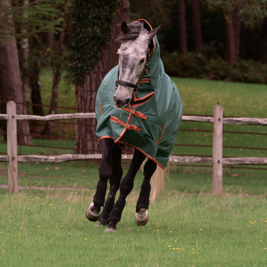 Weatherbeeta Green/Burnt Orange/White Comfitec Tyro Combo Neck Lite Plus Turnout Rug