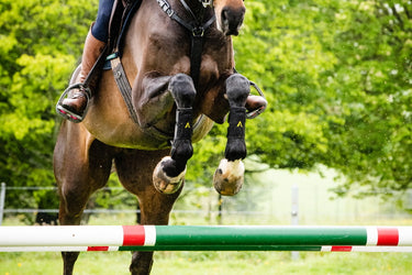 Horseware Ireland Adagio Boots