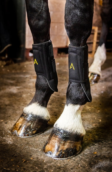 Horseware Ireland Adagio Boots