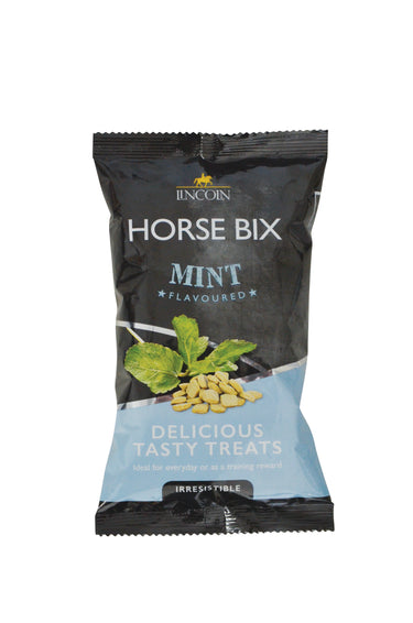 Lincoln Horse Bix