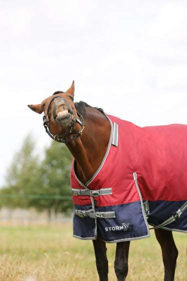StormX Empra 200 Turnout Rug with Detachable Neck