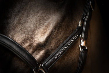 ProPresicce Softy Leather Head Collar by Hy Equestrian