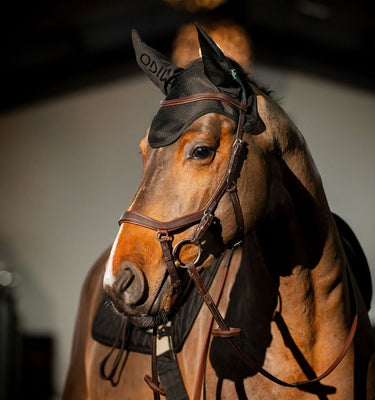 Horseware Ireland Amigo Ear Net Black