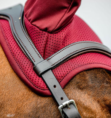 Horseware Ireland Amigo Ear Net Mulberry