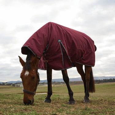 Weatherbeeta Comfitec Prelim Turnout Combo 220G Burgundy/ Navy