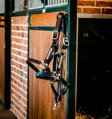 Horseware Ireland Signature Leather Headcollar