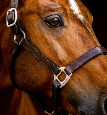 Horseware Ireland Signature Leather Headcollar