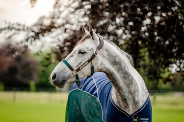 Horseware Ireland Signature Braided Headcollar