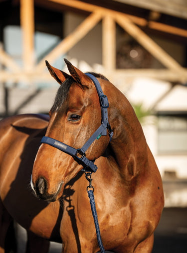 Horseware Ireland Amigo Headcollar & Leadrope Navy