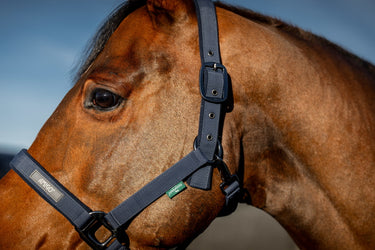 Horseware Ireland Amigo Headcollar & Leadrope Navy