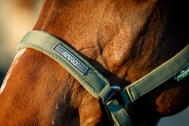 Horseware Ireland Amigo Headcollar & Leadrope Bramble