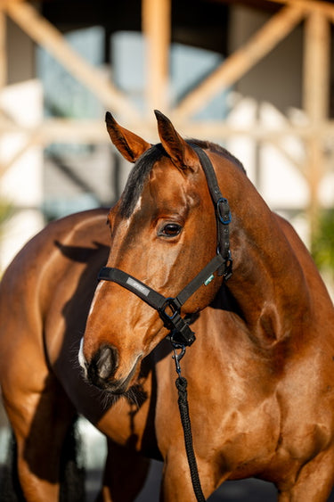 Horseware Ireland Amigo Headcollar & Leadrope Black