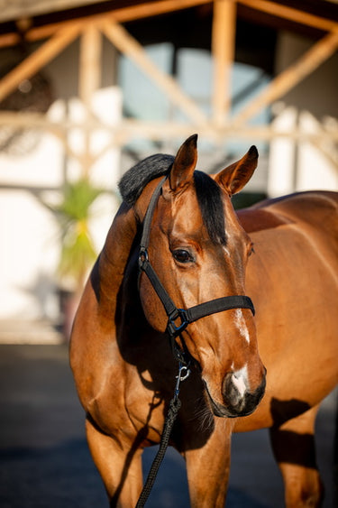 Horseware Ireland Amigo Headcollar & Leadrope Black
