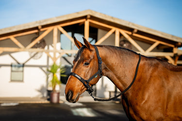 Horseware Ireland Amigo Headcollar & Leadrope Black