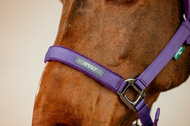 Horseware Ireland Amigo Headcollar & Leadrope Winterberry