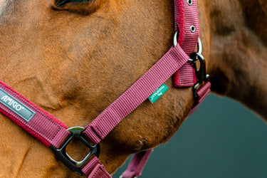 Horseware Ireland Amigo Headcollar & Leadrope Mulberry