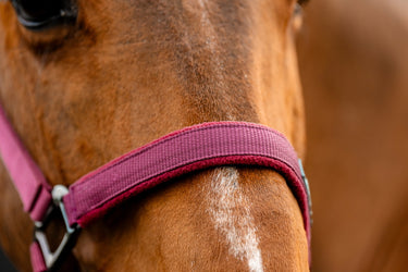 Horseware Ireland Amigo Headcollar & Leadrope Mulberry