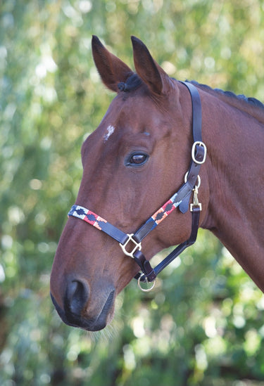 Shires Blenheim Leather Polo Headcollar