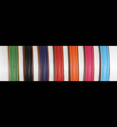 Buy Digby & Fox Padded Leather Dog Collar| Online for Equine