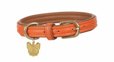 Buy Digby & Fox Padded Leather Dog Collar| Online for Equine