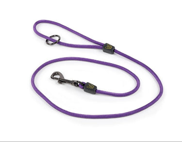 Buy Digby & Fox Pro Dog Lead| Online for Equine