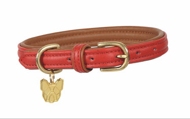 Digby & Fox Padded Leather Dog Collar