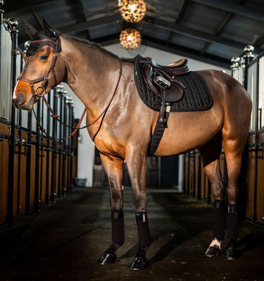 Horseware Ireland Amigo Close Contact Saddle Pad Black