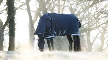 LeMieux 200g Arika Storm-Tek Rug Navy