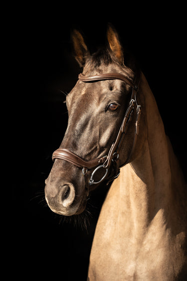 ProPresicce Pelle Drop Leather Bridle by Hy Equestrian