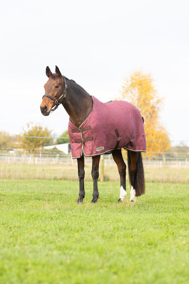 StormX Empra Luxury Show Rug