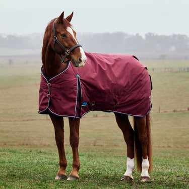 Weatherbeeta Comfitec Prelim Turnout 220G Burgundy/ Navy