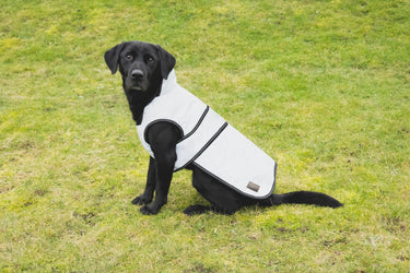 Benji & Flo Silva Reflective Dog Coat| Online For Equine