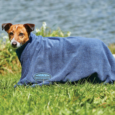 Buy Weatherbeeta Comfitec Dry-Dog Bag | Online for Equine