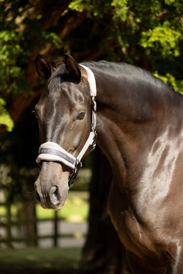 ProReaction Dura Fleece Head Collar by Hy Equestrian| Online For Equine