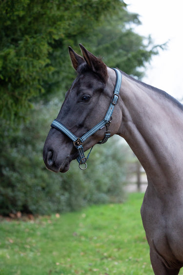 Hy Equestrian Vertiga Head Collar| Online For Equine