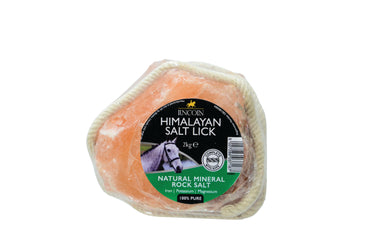 Lincoln Himalayan Salt Lick