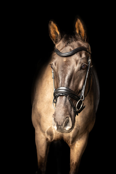 ProPresicce Pelle Crank Leather Bridle by Hy Equestrian