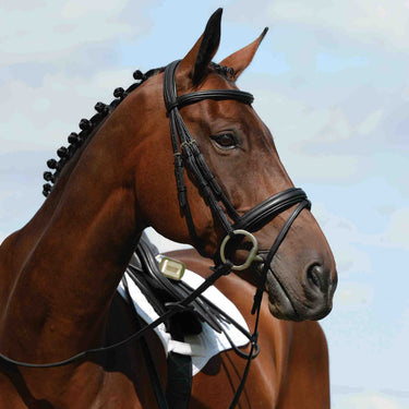 Collegiate Syntovia + Padded Raised Flash Bridle