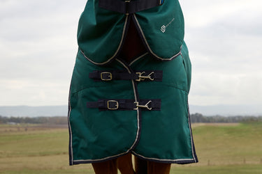 Weatherbeeta Comfitec Plus Dynamic Turnout Detach-A-Neck 0G Forest Green/ Navy| Online For Equine