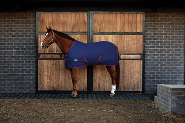 Weatherbeeta Cotton Sheet Standard Neck| Online For Equine