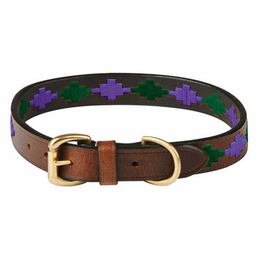 Buy Weatherbeeta Polo Leather Beaufort Brown/Purple/Teal Dog Collar | Online for Equine