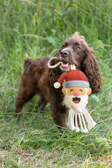 Benji & Flo Christmas Dog Toys