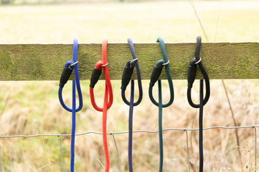 Benji & Flo Classic Slip Lead