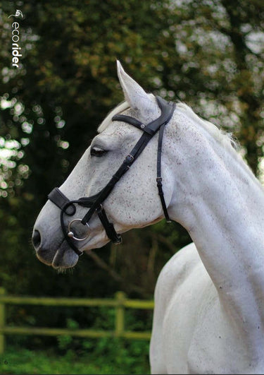 Buy Ecorider Freedom Jump Bridle | Online for Equine