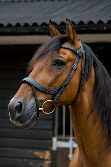 Buy the EcoRider Freedom Comfort Bridle | Online for Equine