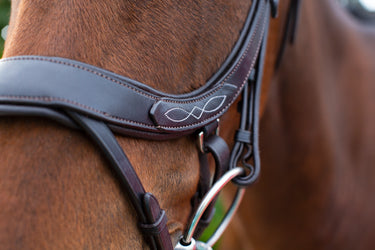 Buy the EcoRider Freedom Comfort Bridle | Online for Equine