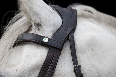 Buy the EcoRider Freedom Comfort Bridle | Online for Equine