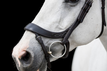 Buy the EcoRider Freedom Comfort Bridle | Online for Equine