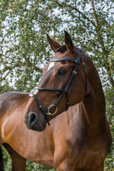 Buy the EcoRider Freedom Grackle Bridle | Online for Equine